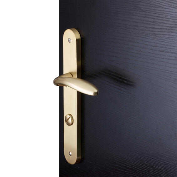 Inspire door handle on plate with thumb lock zamak gold inspire 195mm