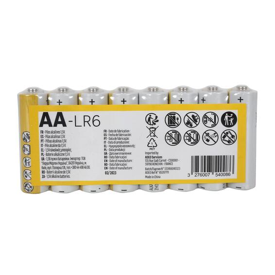 AA Alkaline Battery 10 Pack 