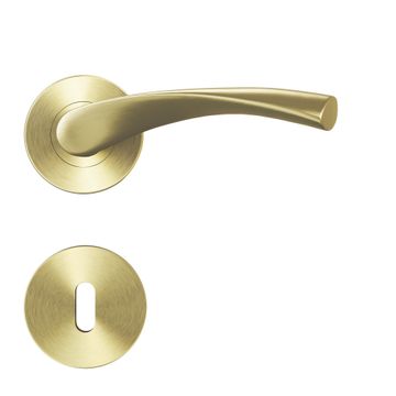 Door handle rose arosa brass brush matte