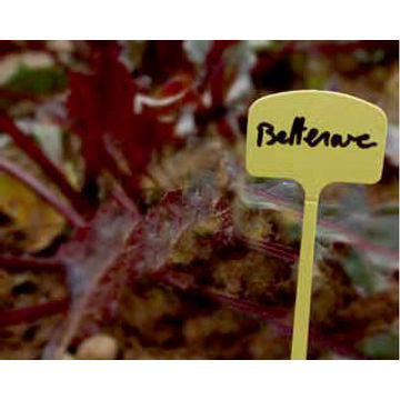 Plant Label, Plastic, NORTENE, 13cm, 10 Per Pack