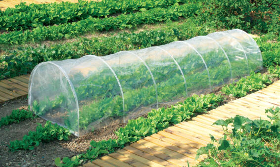 Greenhouse, Tunnel, NORTENE, 60cmx45cmx3M, Include hoops and film