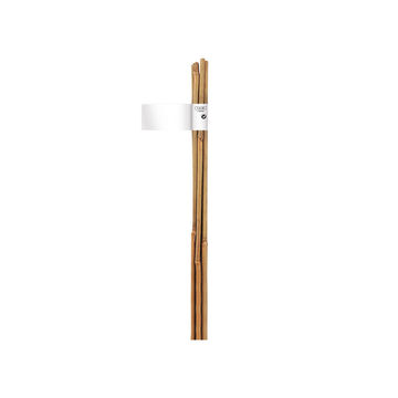 Stake, Bamboo, NORTENE, 10mmx90cm, Single Unit