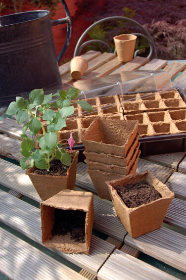Nortene Biodegradable Plant Pot L8cm x W8cm