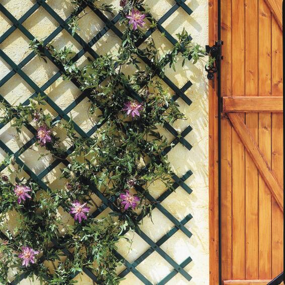 Trellis Trelliflex Expandable 0.50 X 1.50 m