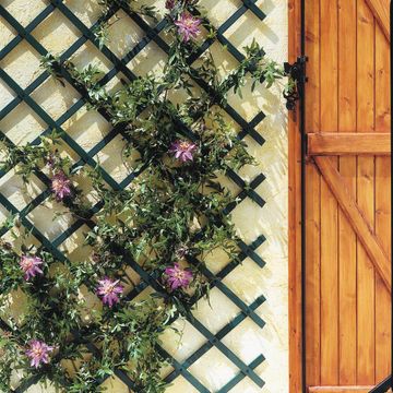 Trellis Trelliflex Expandable 0.50 X 1.50 m