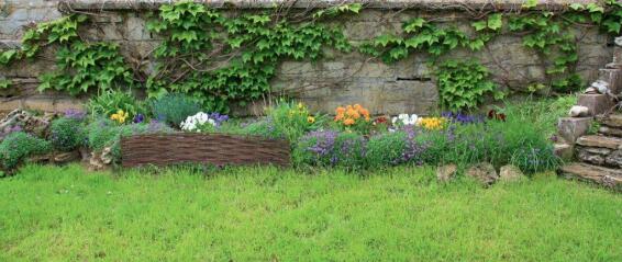 Garden Border Willow 30 cm X 1 m