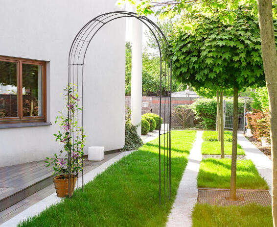 Whisper Metal Arch 1,24 X 0,36 X 2,32 m