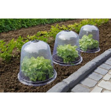 Cover, Plastic Bell Shape, NORTENE, 30cm(H) x 33cm(W), 1 Per Pack