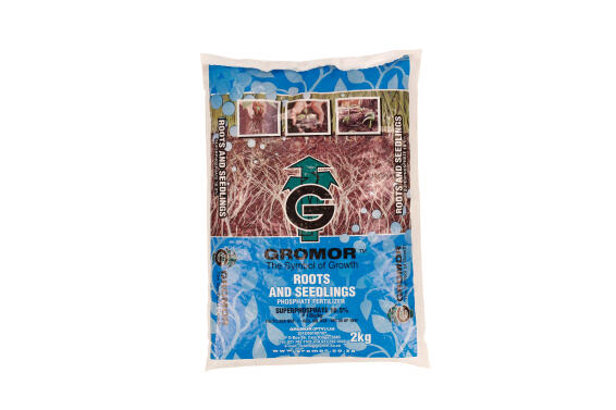 Gromor Super Phosphate Fertilizer 2Kg