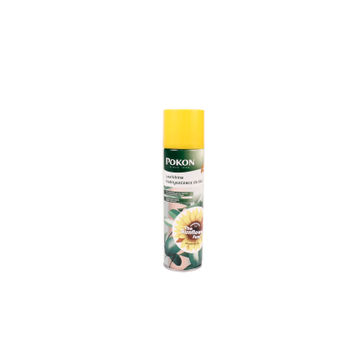 Pokon Leaf Shine Spray 250ml