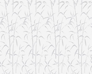 Glass Film Self-adhesive Transparent BAMBOO-w45cmxh2m