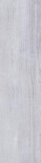 Floor tile  porcelain heritage ash 220x895mm