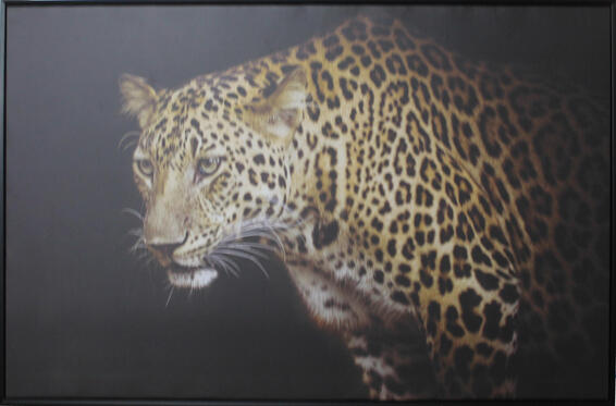 Framed canvas leopard 75x120cm