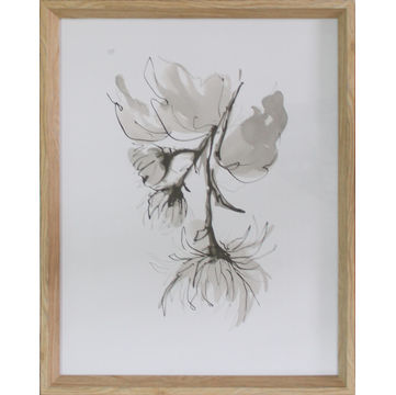 Framed print chrysanthemim