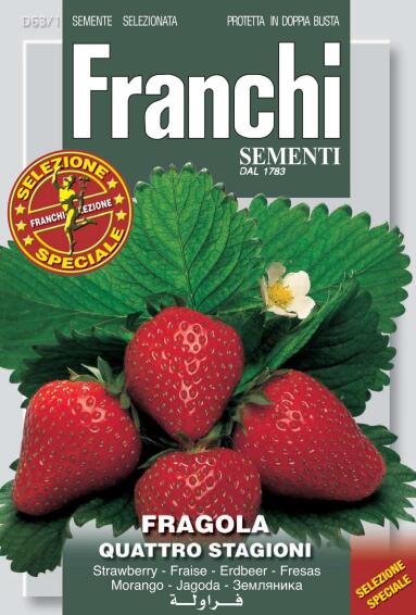 SEED STRAWBRY QUATTRO STAGIONI