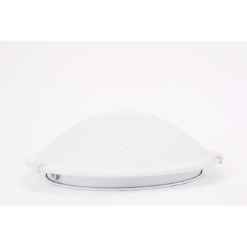 ceiling light small