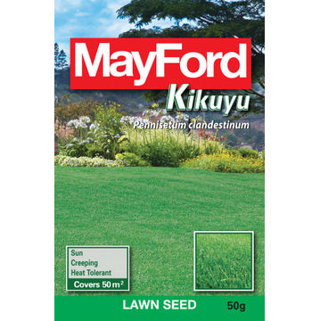 LAWN SEED KIKUYU MAYFORD 50G