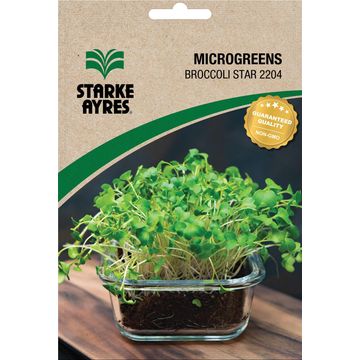 BROCCOLI MICROGREEN MIRCOGREENS