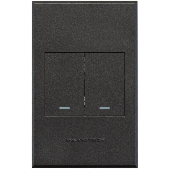 COVER PLATE 2L SWITCH VETI3 2X4 GR/GR