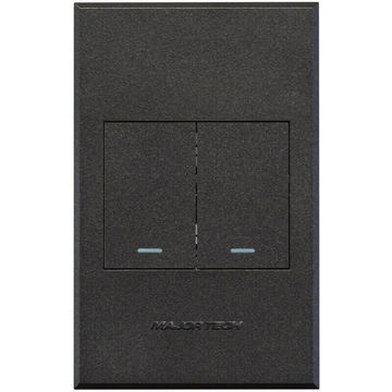 COVER PLATE 2L SWITCH VETI3 2X4 GR/GR