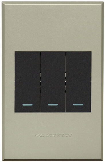SWITCH 1L BELLPRS & 2L2W VETI3 2X4 GR/TI