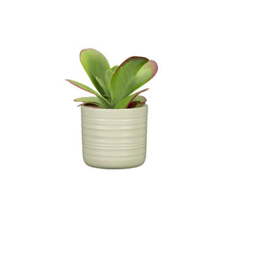 Scheurich ceramic plant pot silent green 14cm
