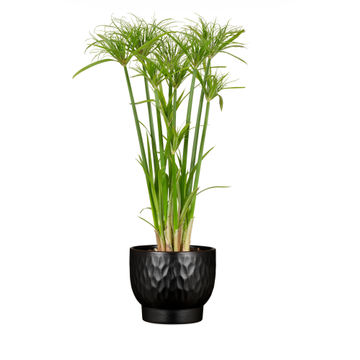 Scheurich ceramic plant pot black 18cm