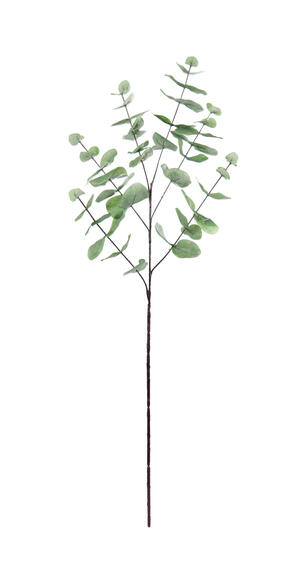 EUCALYPTUS SPRAY 7X7X30IN GREEN