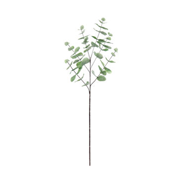 EUCALYPTUS SPRAY 7X7X30IN GREEN