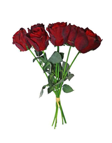 ROSE STEM X 7 BUNDLE 41CM BU