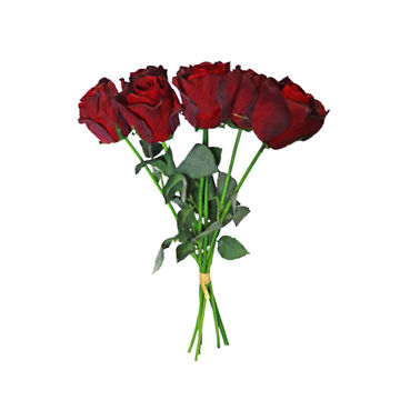ROSE STEM X 7 BUNDLE 41CM BU