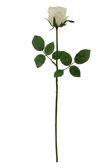 JESSICA 29.5 SINGLE WGREEN STEM CREAM