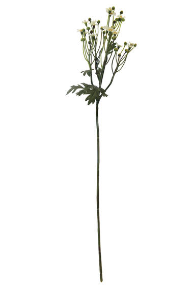 DAISY MINI SPRAY 25 WHITE