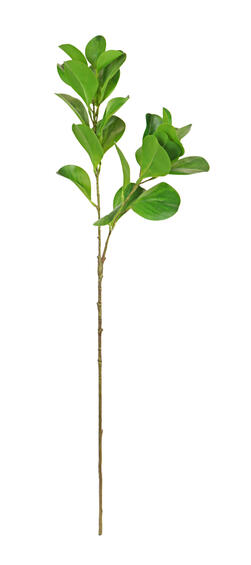 FOLIAGE LEAF SPRAY