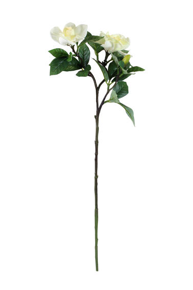 Artificial Gardenia Spray Cream