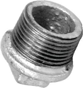 Galv Plug 1/2