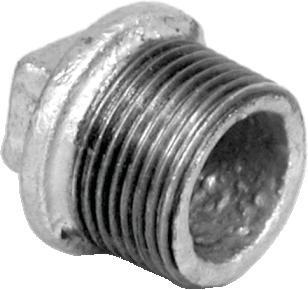 Plug galvanised 3/4
