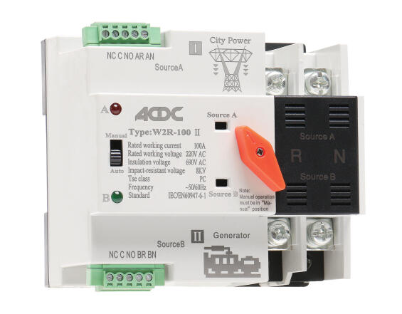 Motorised C/O Switch ATS 2 Pole 100A 230V