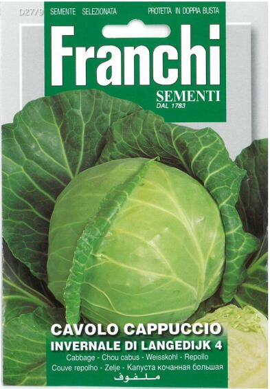 Seed, Cabbage Brunswick, FRANCI SEMENTI