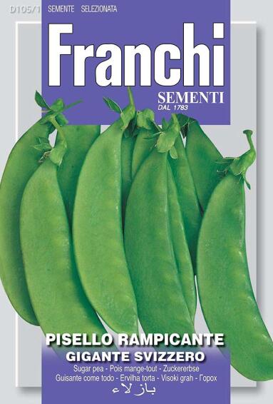 Seed, Sugar Snap Peas Gigante Svizzero, FRANCHI SEMENTI