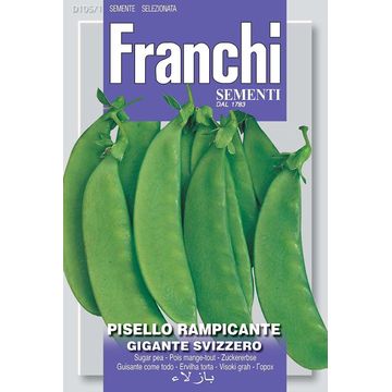 Seed, Sugar Snap Peas Gigante Svizzero, FRANCHI SEMENTI