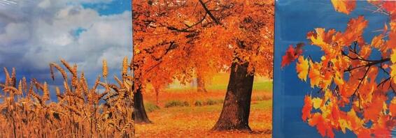 CANVAS AUTUMN 2 30X30CM SET 3