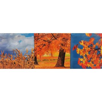 CANVAS AUTUMN 2 30X30CM SET 3