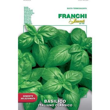 Seed, Sweet Basil Classico, FRANCI SEMENTI
