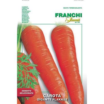 Seed, Carrot Gigante Flakkee, FRANCHI SEMENTI
