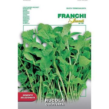Seed, Cultivated Rocket, FRANCI SEMENTI