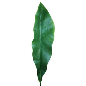 GINGER LILY LEAF LARGE