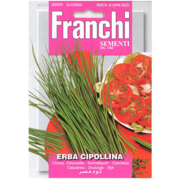 Seed, Chives Erba Cipollina, FRANCHI SEMENTI