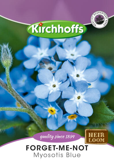 KIRCHHOFFS FLOWERS FORGET ME NOT BLUE