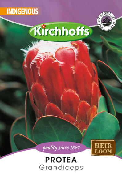 Picture Packet Variety Pack Flower Seeds